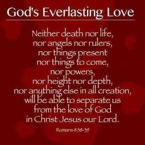 Meet your Posher, Lizzie